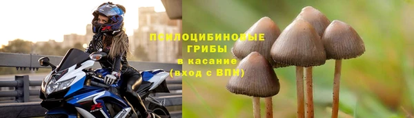 шишки Нязепетровск